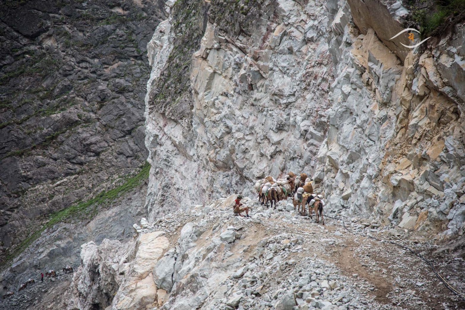 Dolpa