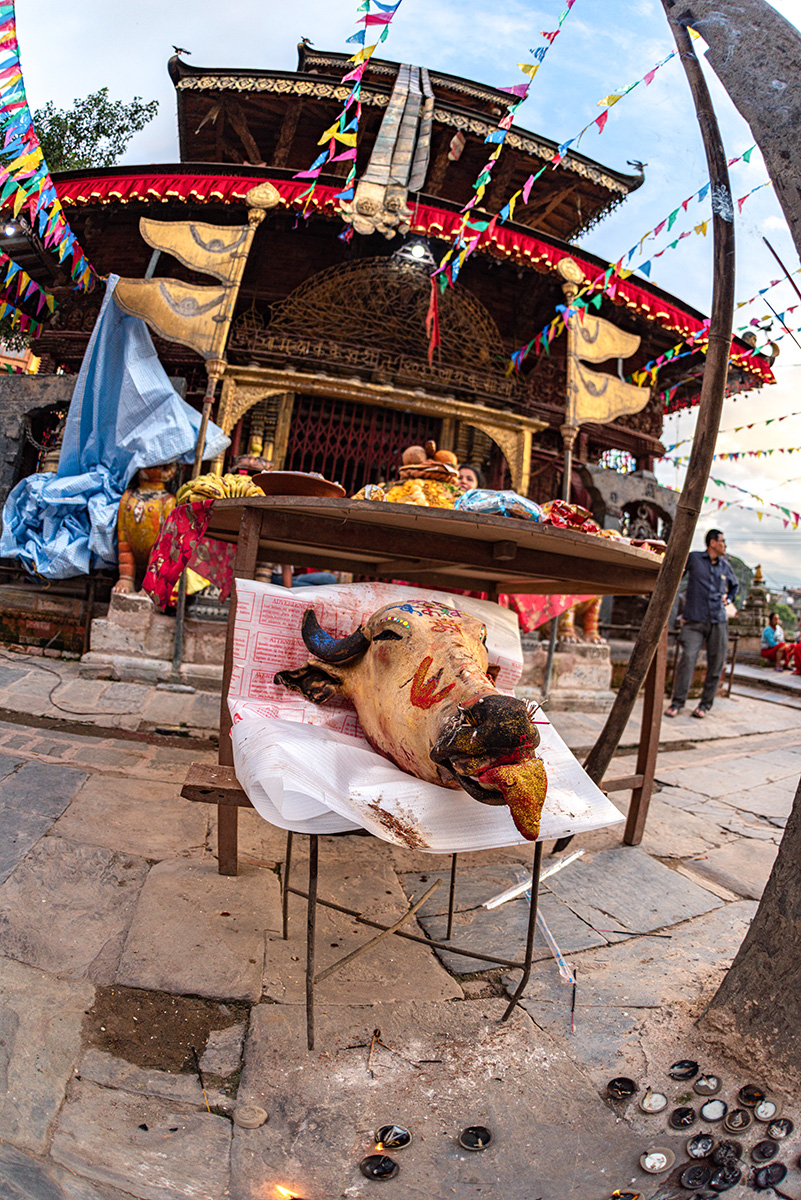 Kankesor Carnival